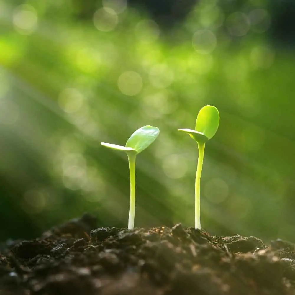 Intertype Publish and Printing is committed to Sustainable Printing